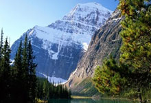 天涯神贴四大预言 全都在网上火过！